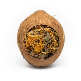 Forage filled coconut
