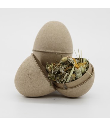 Cardboard foraging egg