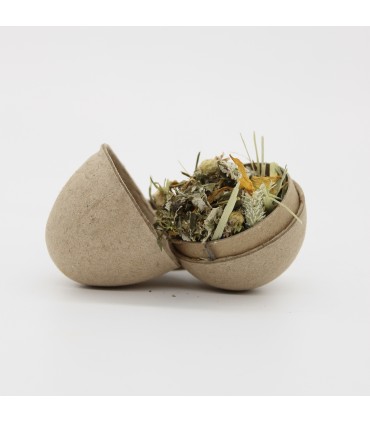 Cardboard foraging egg