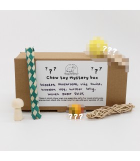 Chew toy mystery box