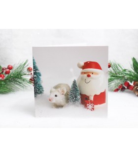 Mouse Christmas Card