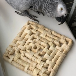 Natural maize mat