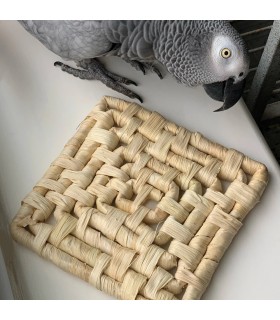 Natural maize mat