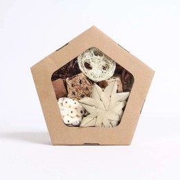 Pentagon foraging box toy