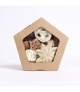 Pentagon foraging box toy