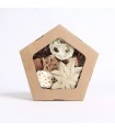 Pentagon foraging box toy