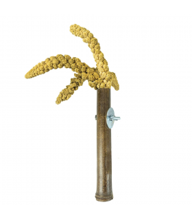 Bamboo spray holder