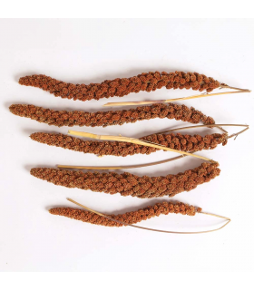 Red millet sprays 150g