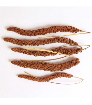 Red millet sprays 150g