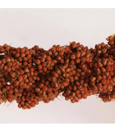 Red millet sprays 150g