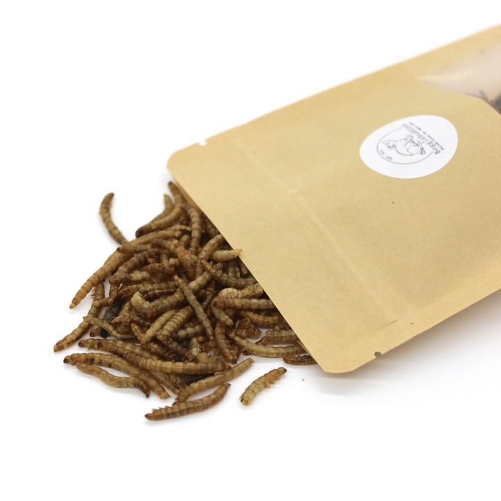 Dried mealworms 30g