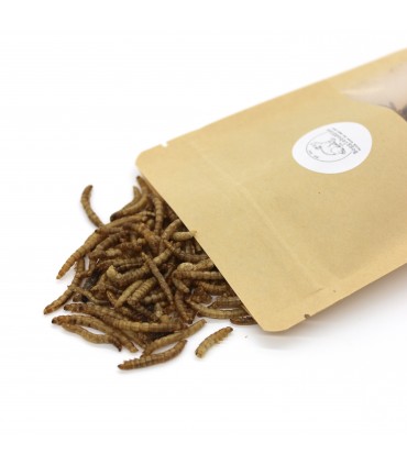 Dried mealworms 12g