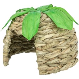 Grass house with corn leaves