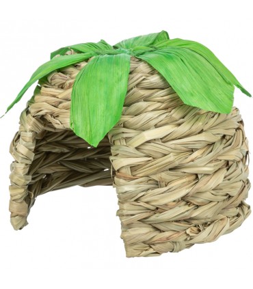 Grass house with corn leaves