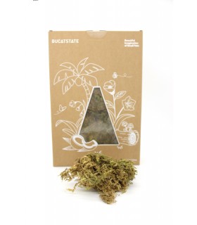 Bucatstate forest moss 150g