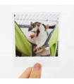 Humbug Polaroid 1