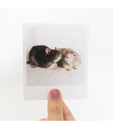 Twix & Wispa Polaroid