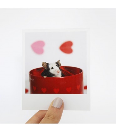 Pebble Polaroid