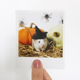 Opal halloween polaroid 3