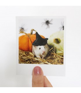 Opal halloween polaroid 3