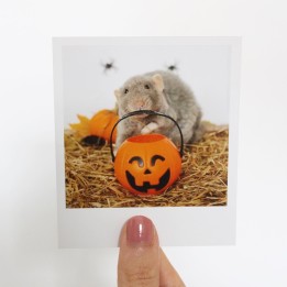 Sprout halloween polaroid 2