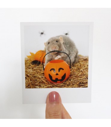 Sprout halloween polaroid 2