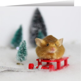 Mouse Christmas card
