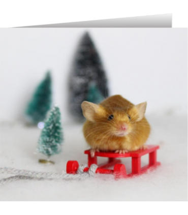 Mouse Christmas card