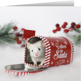 Mouse Christmas card