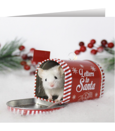 Mouse Christmas card