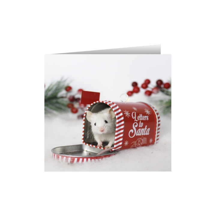 Mouse Christmas card