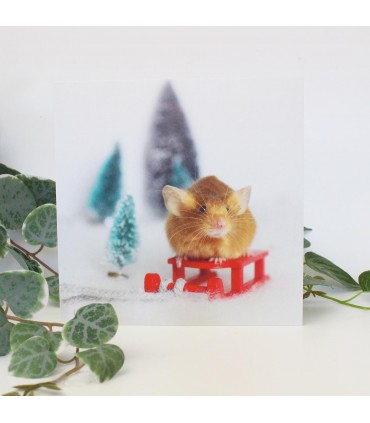 Mouse Christmas card