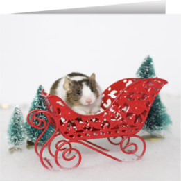 Mouse Christmas card