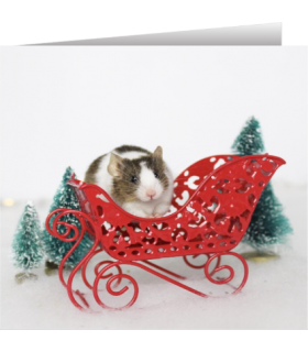 Mouse Christmas card