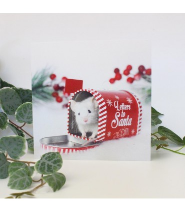 Mouse Christmas card