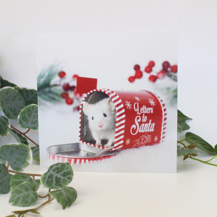 Mouse Christmas card