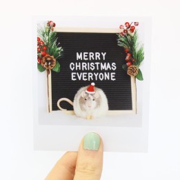 Moose christmas polaroid 2