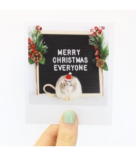 Moose christmas polaroid 2