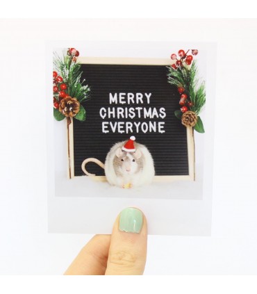 Moose christmas polaroid 2