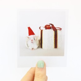 Opal Christmas polaroid 2