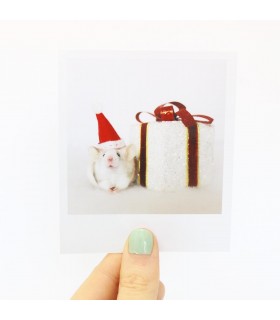 Opal Christmas polaroid 2