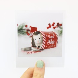 Pearl Christmas polaroid 3