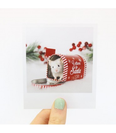 Pearl Christmas polaroid 3