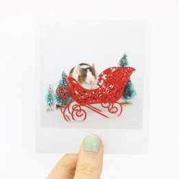 Sprig Christmas polaroid