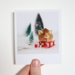 Vixen Christmas polaroid