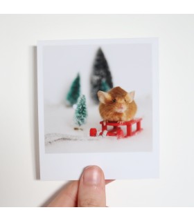 Vixen Christmas polaroid