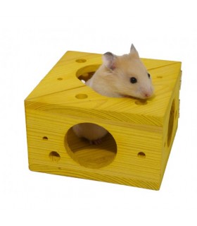 Sleep n play cheese