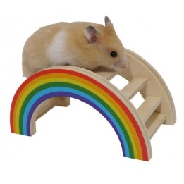 Rainbow bridge toy