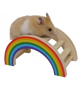 Rainbow bridge toy