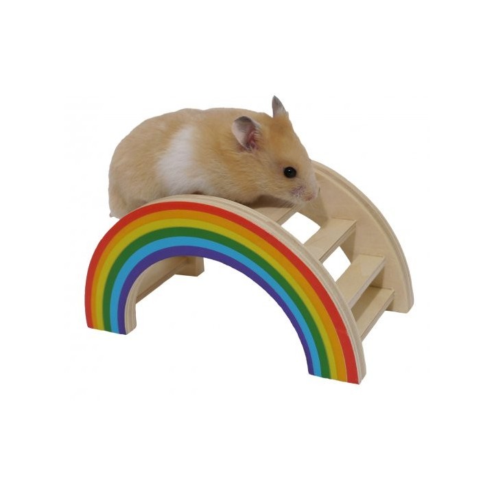 Rainbow bridge toy